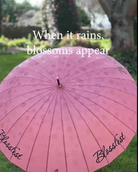 Pink hotsell umbrella online